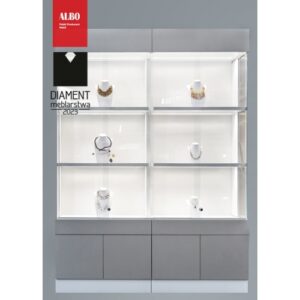 RICO-100-2 Glass Display Case - Image 9