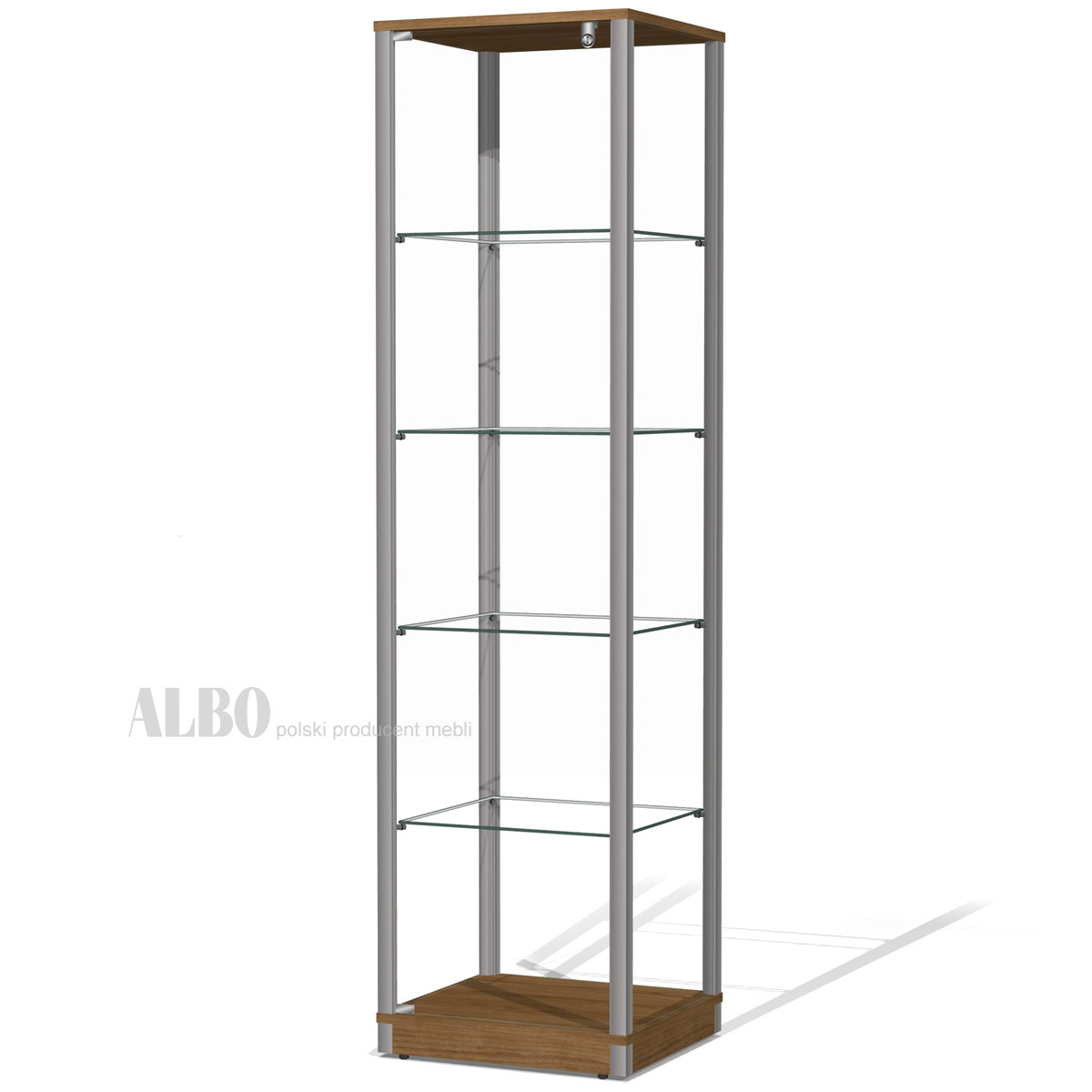 Showcase Glass - Narrow Glass Display Case - VA2